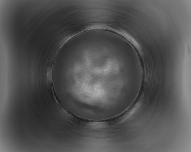 X0000093260953200710031601