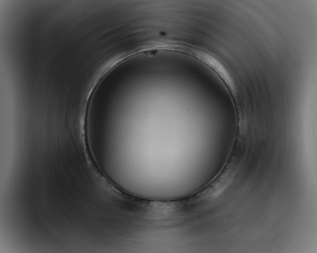 X0000093260954200710031601