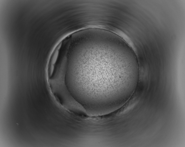 X0000093260955200710031601