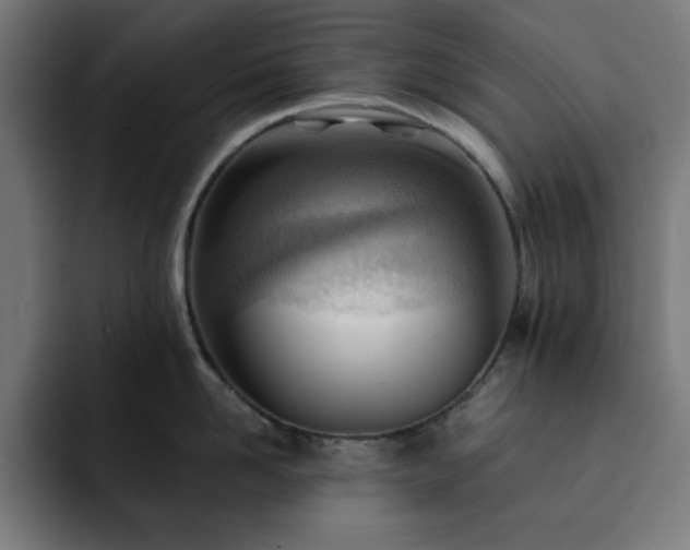 X0000093260958200710031601