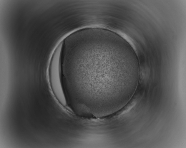 X0000093260959200710031601