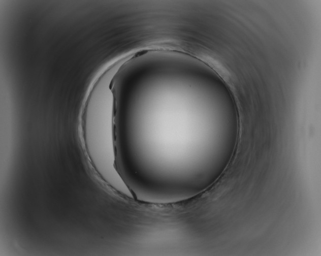 X0000093260960200710031601