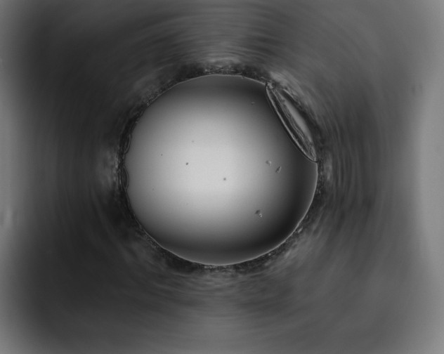 X0000093260964200710031601