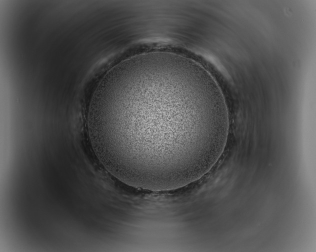 X0000093260967200710031601