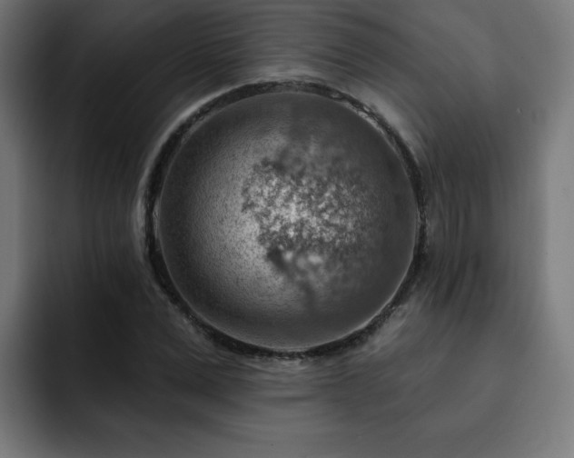 X0000093260975200710031601