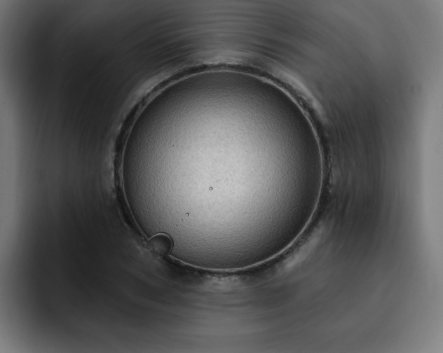 X0000093260978200710031601