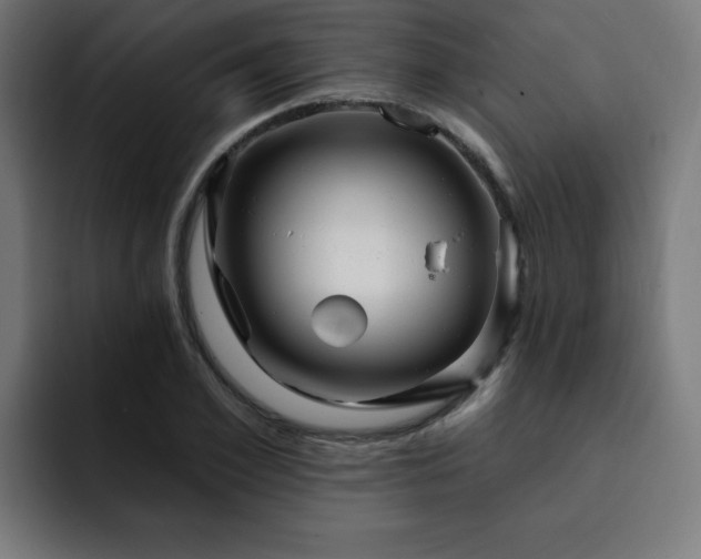 X0000093260981200710031601