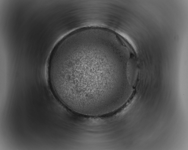 X0000093260983200710031601