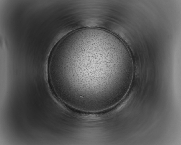 X0000093260986200710031600