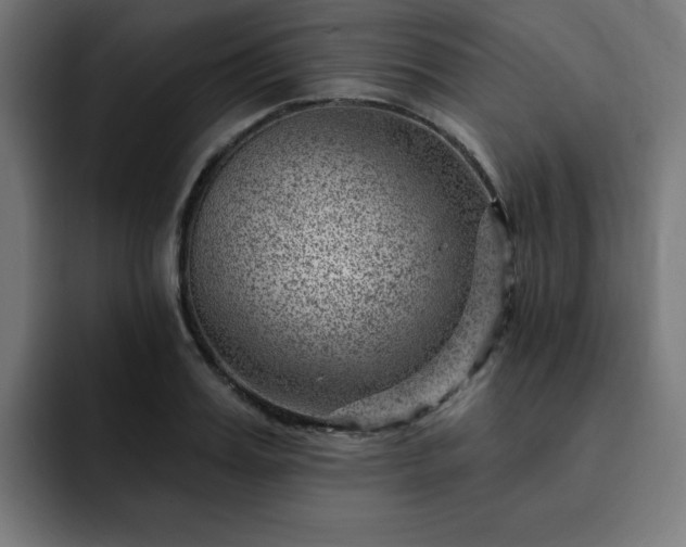 X0000093260987200710031600