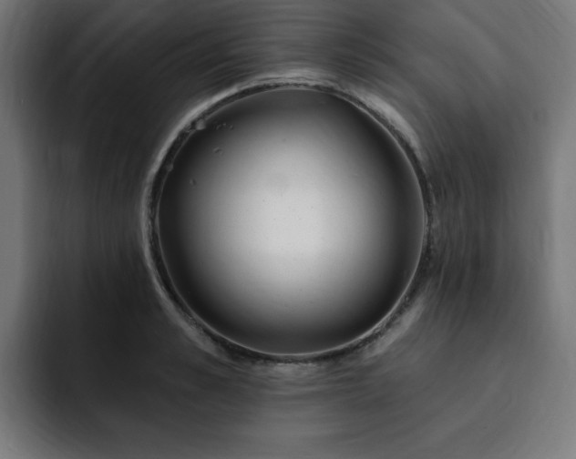 X0000093260989200710031600