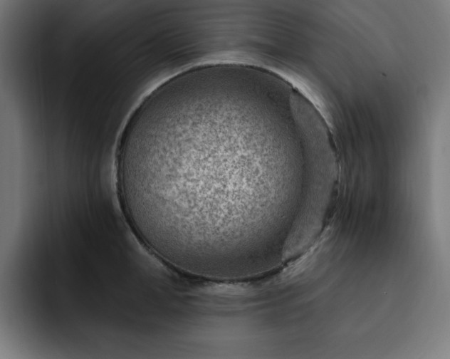 X0000093260998200710031600