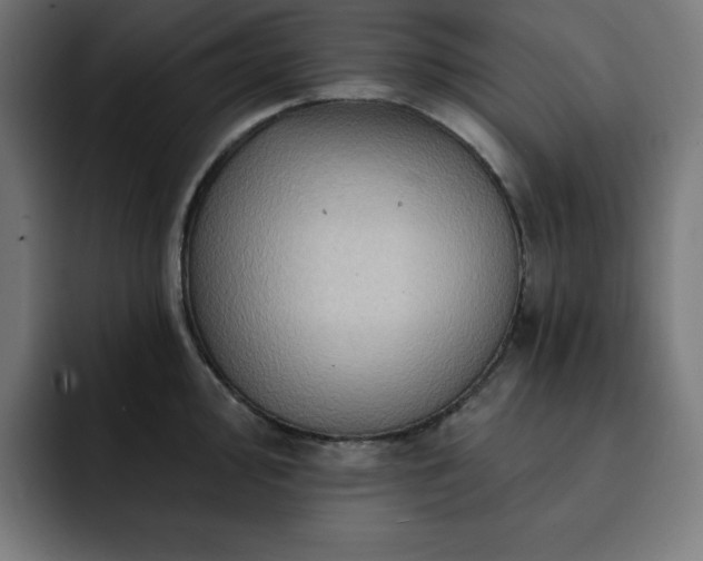 X0000093261000200710031600