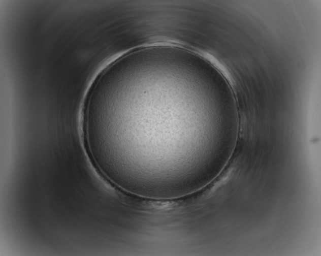 X0000093261003200710031600