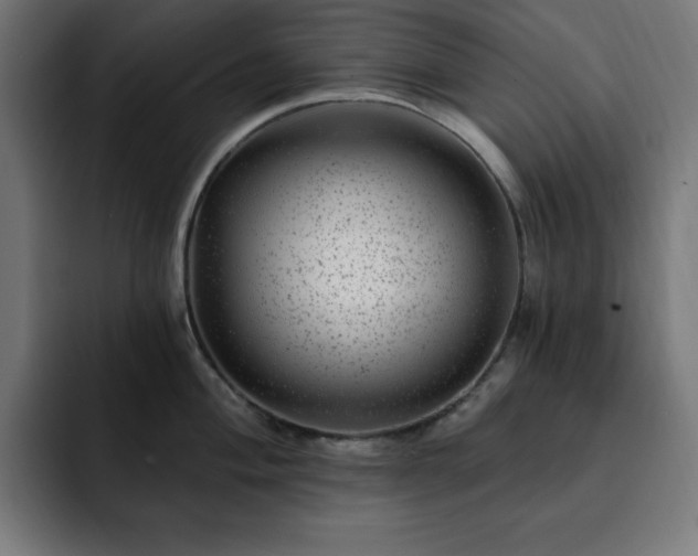 X0000093261004200710031600