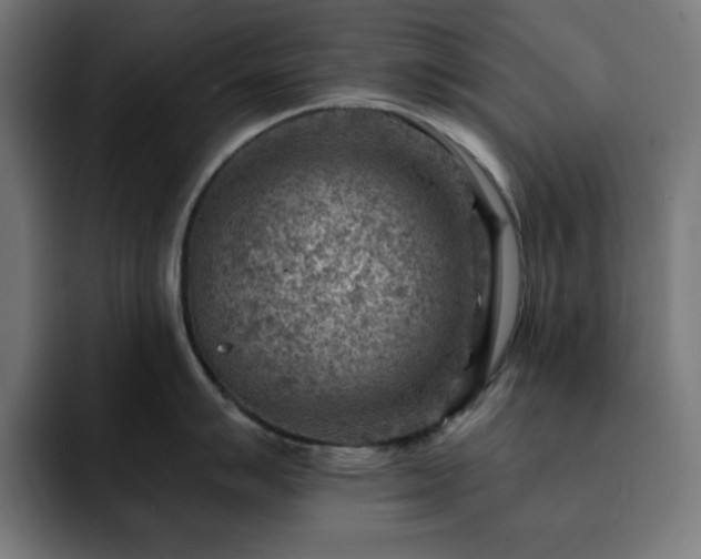 X0000093261007200710031600