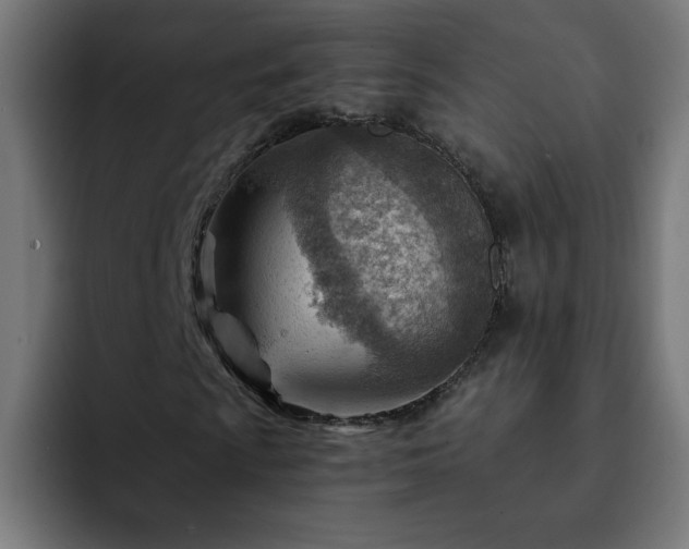 X0000093261009200710031600