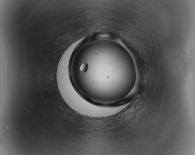 X0000093261010200710031600