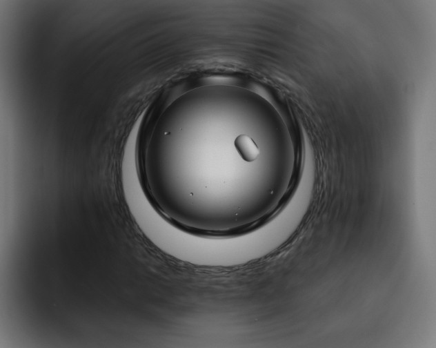 X0000093261014200710031600