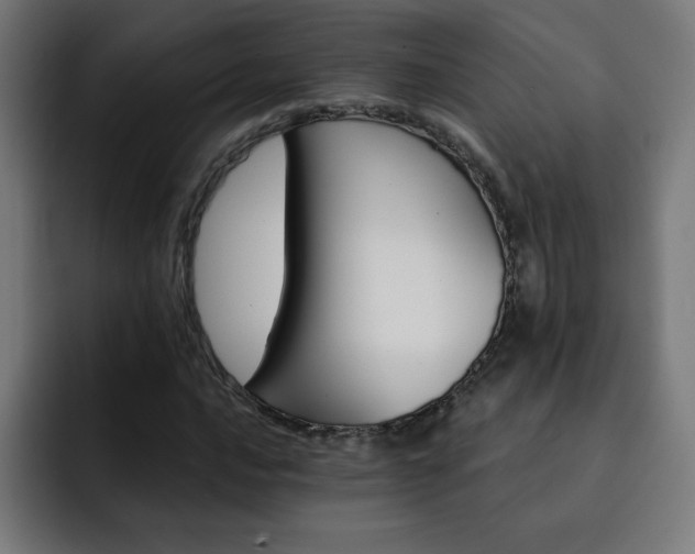 X0000093261016200710031600