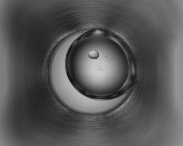 X0000093261018200710031600