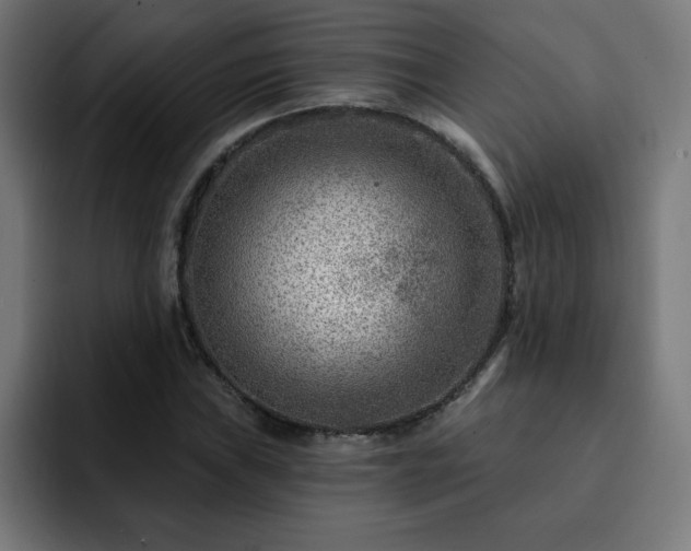 X0000093261019200710031600