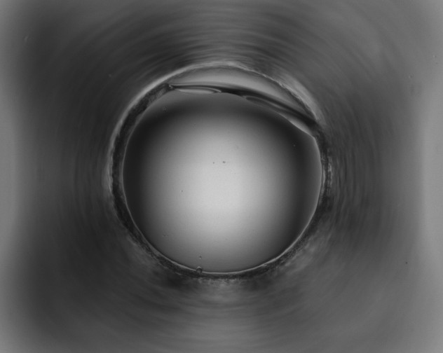 X0000093261020200710031600