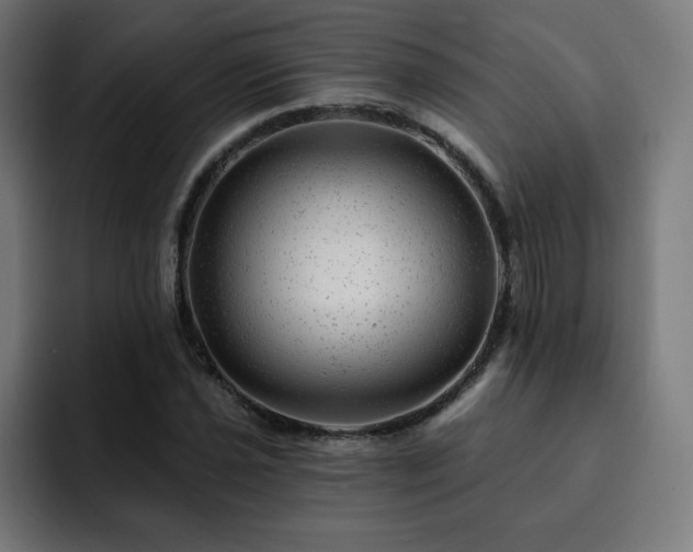 X0000093261021200710031600