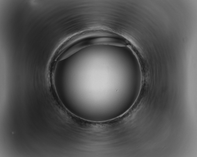 X0000093261022200710031600