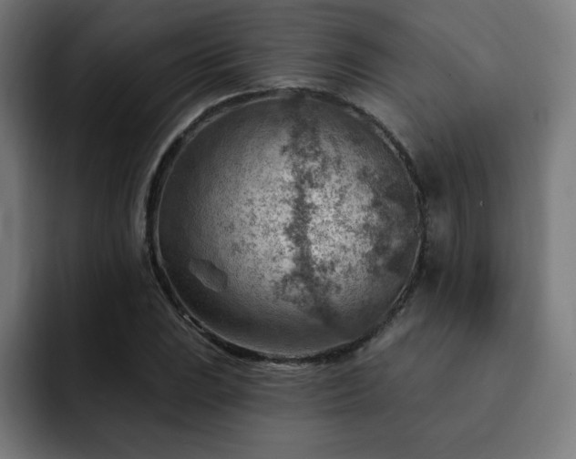 X0000093261023200710031600