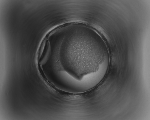 X0000093261024200710031600