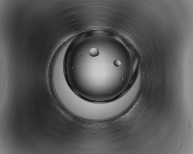 X0000093261026200710031600