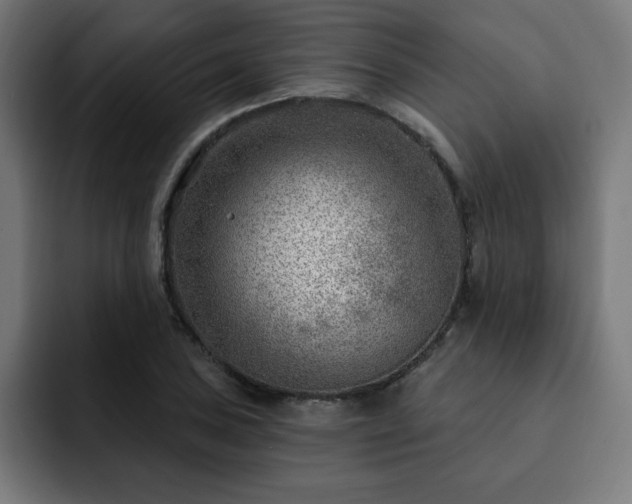 X0000093261027200710031600