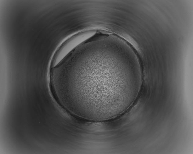 X0000093261028200710031600