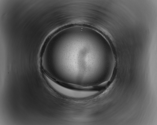 X0000093261029200710031600