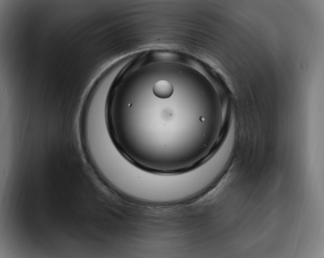 X0000093261030200710031600