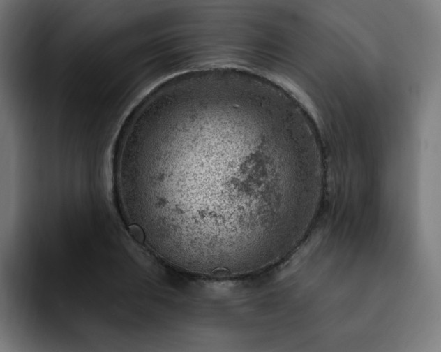 X0000093261031200710031600