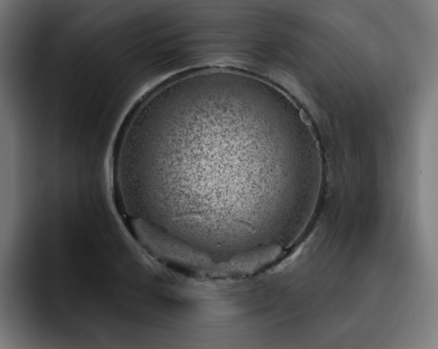 X0000093261032200710031600