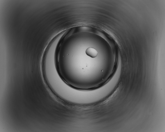 X0000093261034200710031600