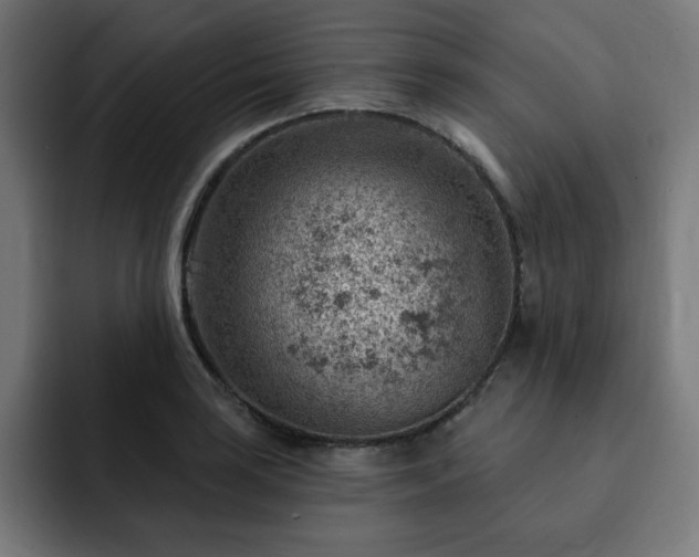 X0000093261035200710031600