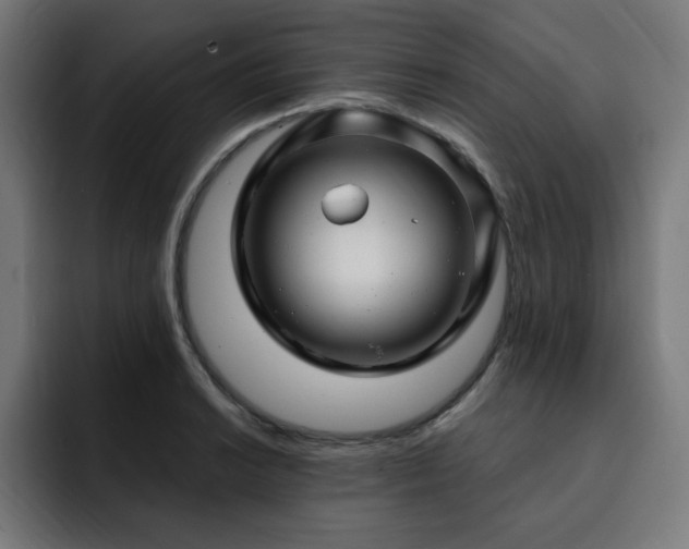 X0000093261038200710031600