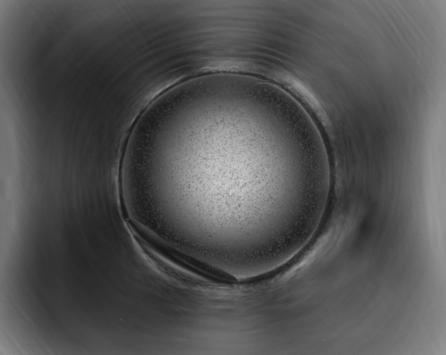 X0000093261041200710031600