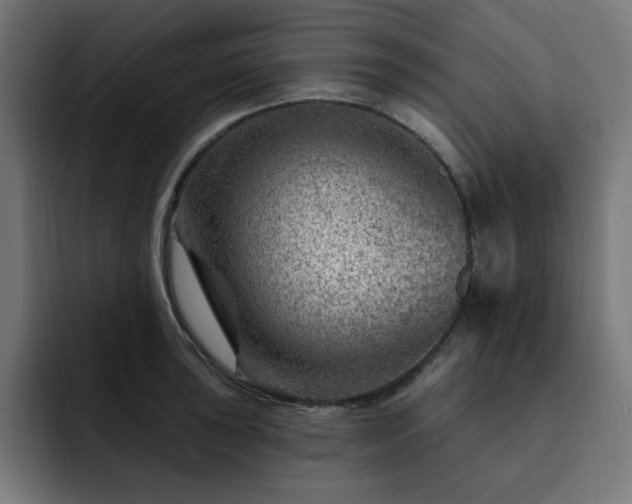 X0000093261043200710031600