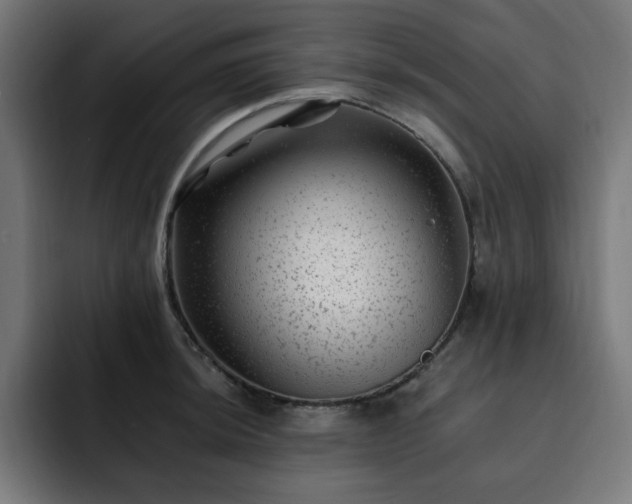 X0000093261044200710031600