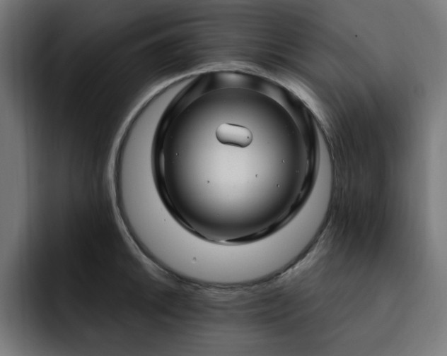 X0000093261046200710031600