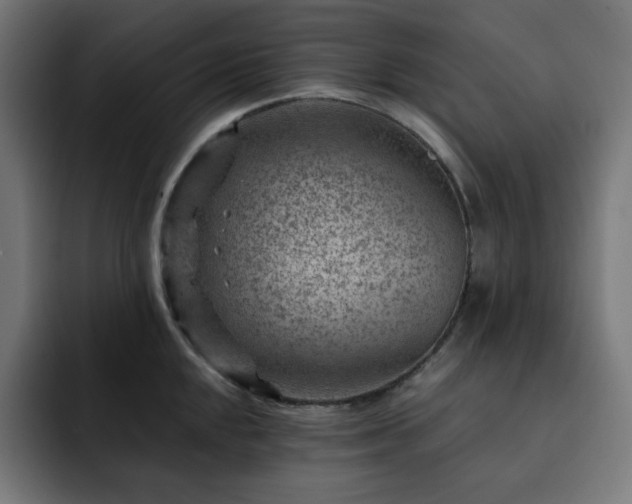 X0000093261048200710031600