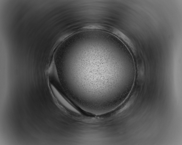 X0000093261049200710031600