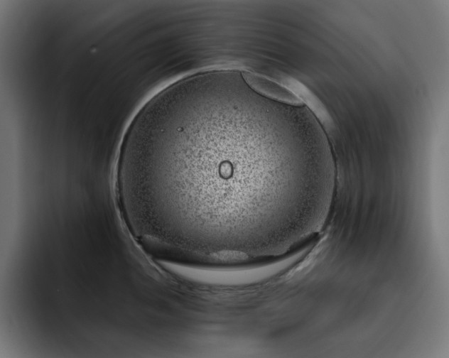 X0000093261052200710031600