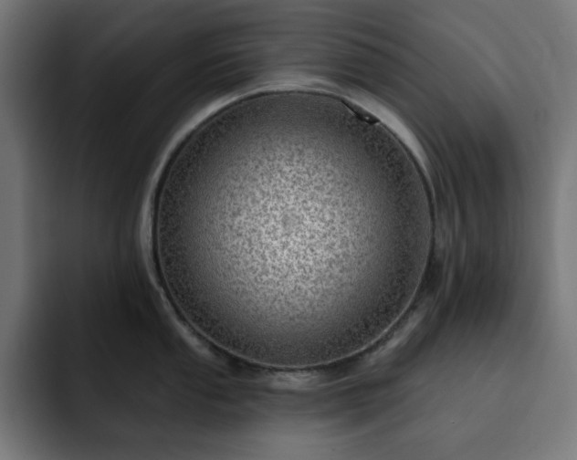 X0000093261053200710031600