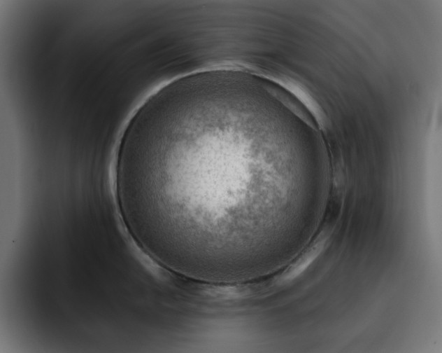 X0000093261054200710031600